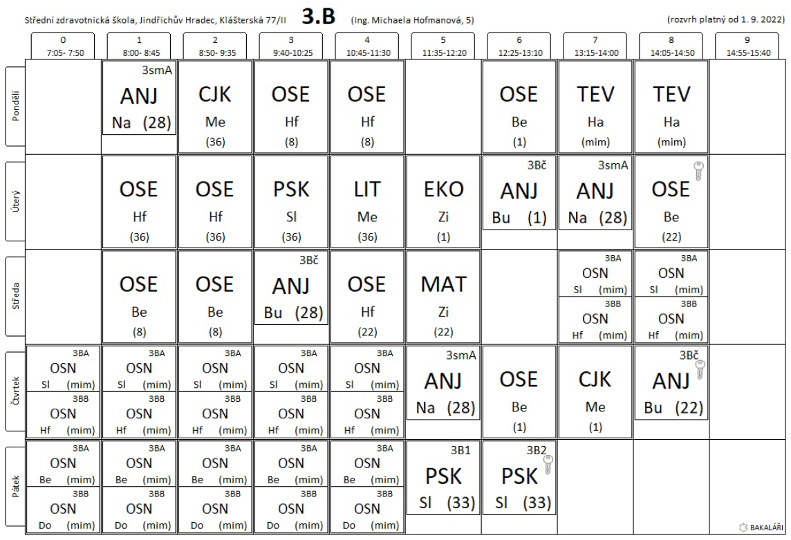 3B